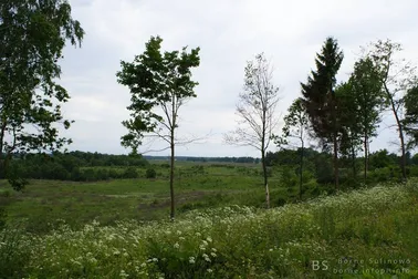 Borne Sulinowo (2009)